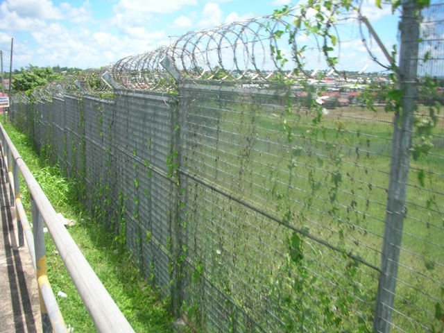 Wire Mesh Chain Link Boundary