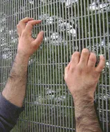 Silver Stainless Steel Balcony Anti Bird Net